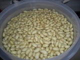 造っちり吸水.jpg