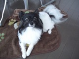 すっきり.jpg