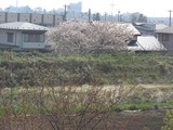 花巻の風景.jpg