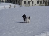 雪が固い.jpg
