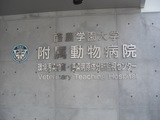 大学病院.jpg