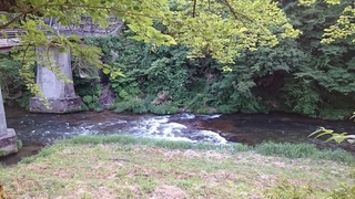 DSC_0023.JPG