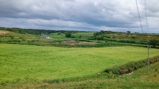 DSC_0431.JPG